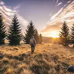 Bozirooms - *